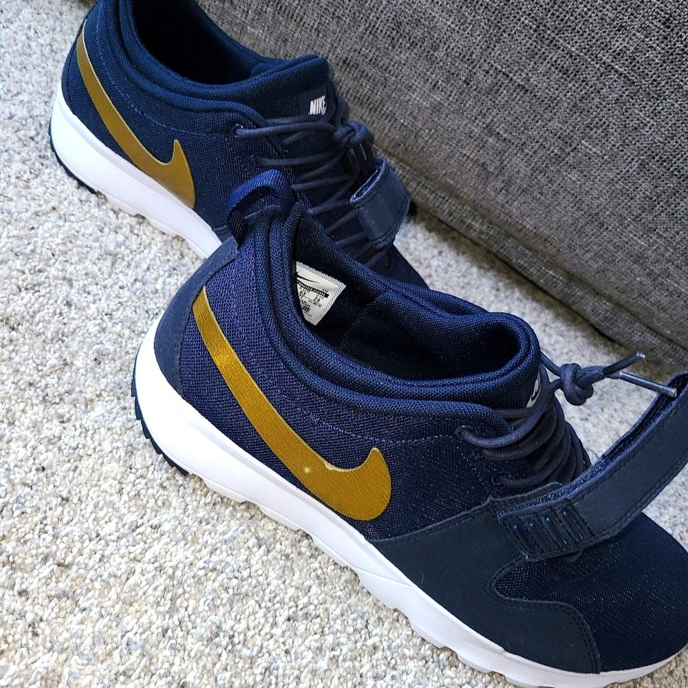 Nike Trainerendor SB size 11